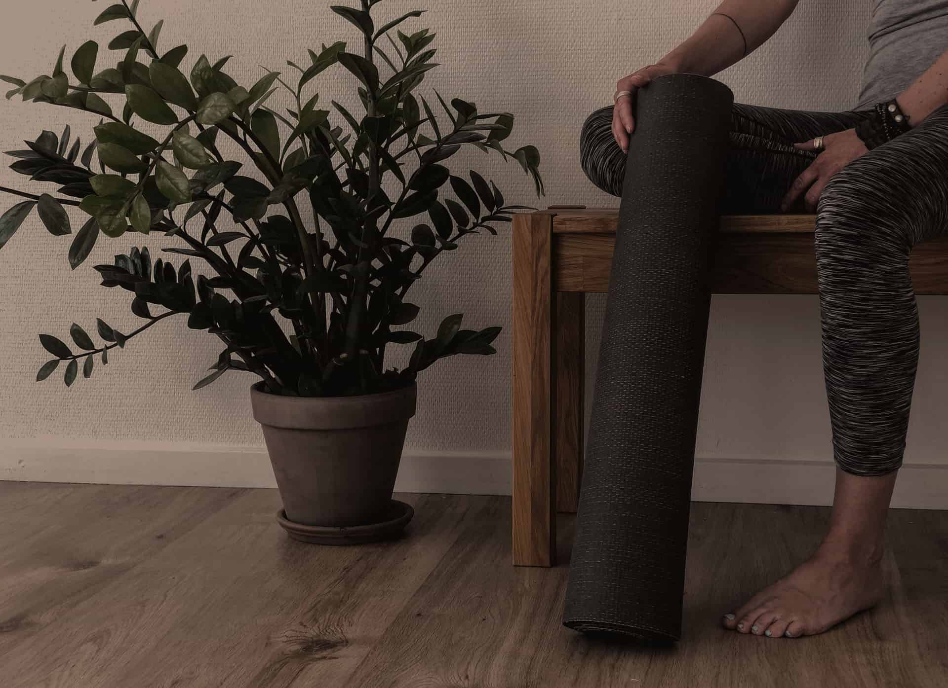 Curabitur maga velt condimentum sagittis ornare eros